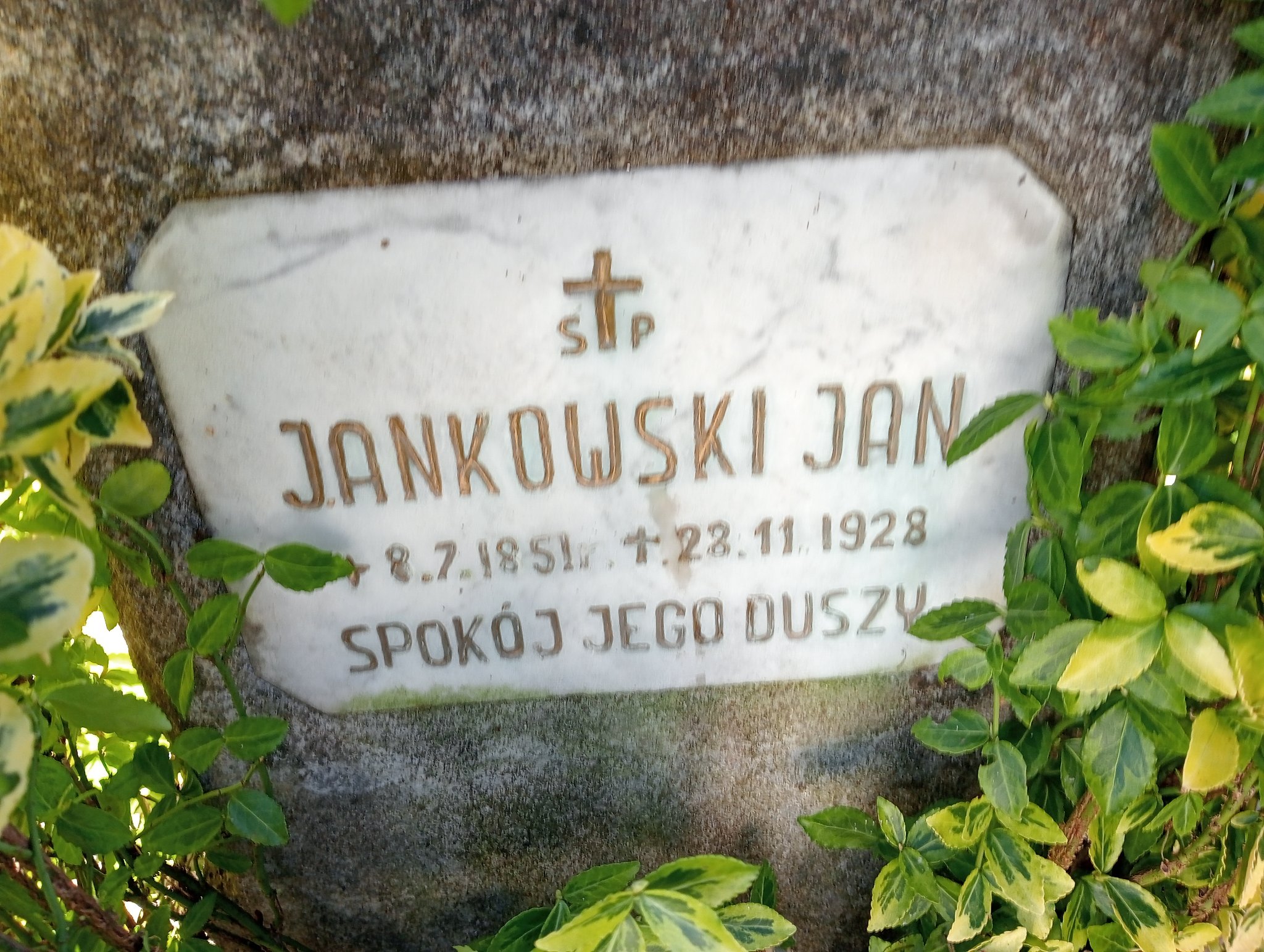 Jan Jankowski                 1851 Krościenko nad Dunajcem - Grobonet - Wyszukiwarka osób pochowanych