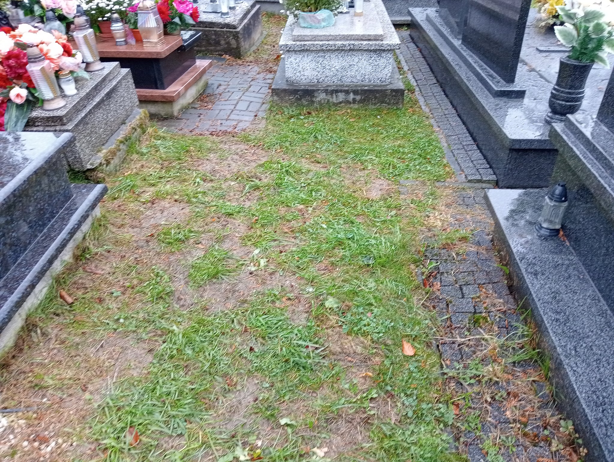 Wojciech Majerczak  Krościenko nad Dunajcem - Grobonet - Wyszukiwarka osób pochowanych